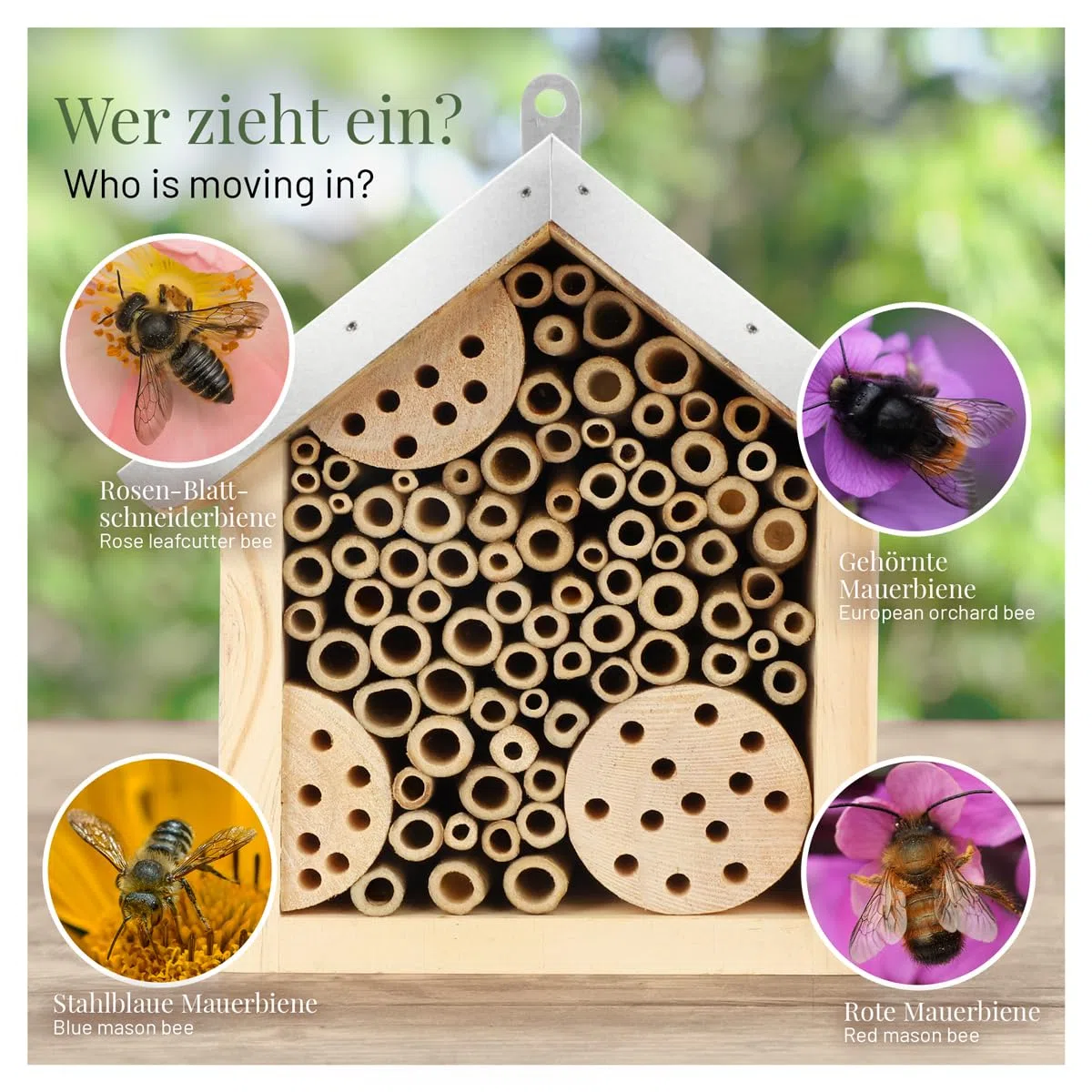 WILDLIFE HOME Hotel de abejas con techo de metal, hotel de insectos de abejas silvestres, ya montado de madera de pino y 100% resistente a la intemperie, sin tratar, hotel de insectos, ayuda para
