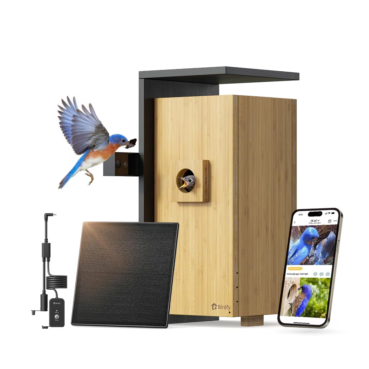Birdfy Smart Casa para Pájaros con Doble Cámara 1080P, Nido de Bambú con Cámara y Visión Nocturna, Observación en Vivo, IA Análisis de Comportamiento, Notificaciones, Grabaciones Automáticas