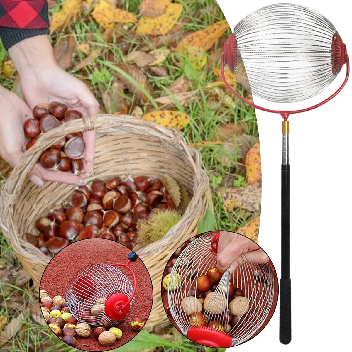 Recolector de nueces de Acero Inoxidable de 150 x 24 x 20 cm, recogedor de nueces y Rodillo Superior con telescópico de 5 Secciones, Herramienta Manual para jardinería, Nogal, Pera