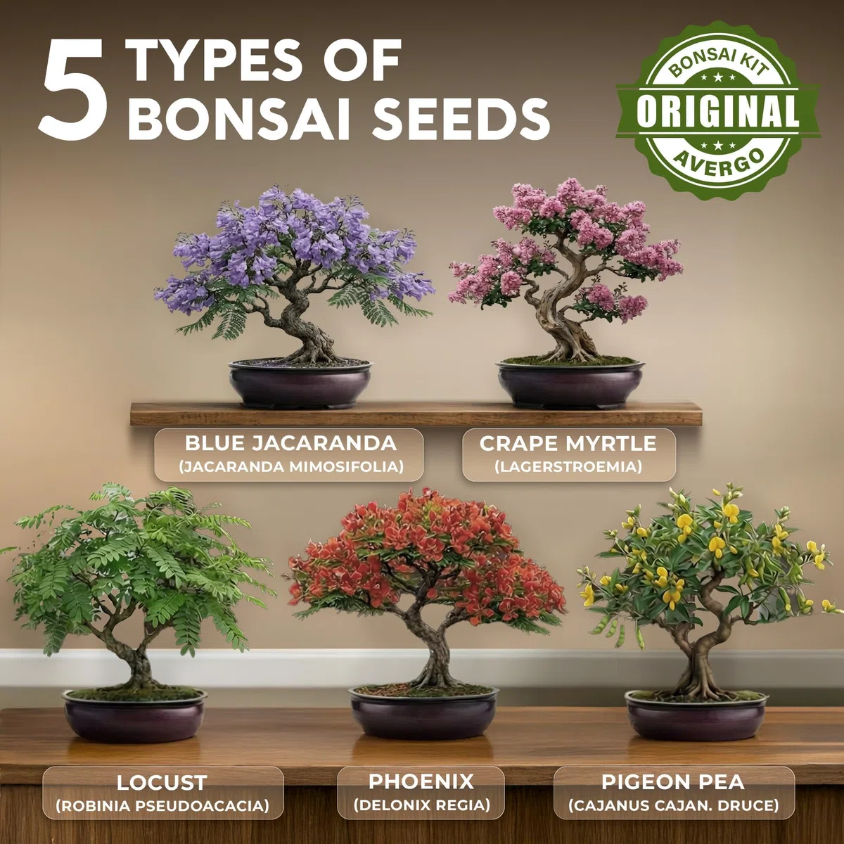 Avergo - Kit de árbol bonsái – 5 árboles de bonzai japoneses únicos | Kit completo de inicio para el cultivo de plantas de bonsái con herramientas y macetas, regalos de jardinería para mujeres y