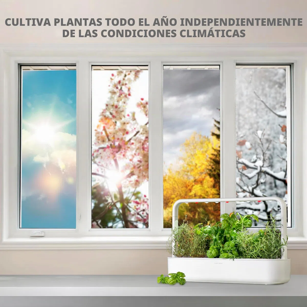 Click & Grow Smart Garden, Huerto Inteligente de Interior con 9 Cápsulas de Cultivo, Iluminación y Riego Automáticos, más Fácil que el Cultivo Hidropónico