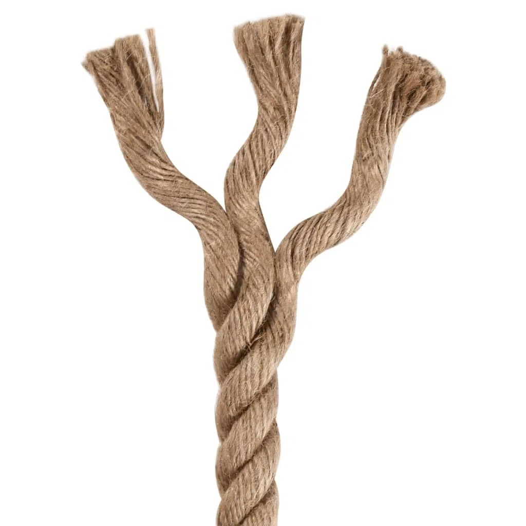 vidaXL Cuerda 100% yute 20 mm 50 m