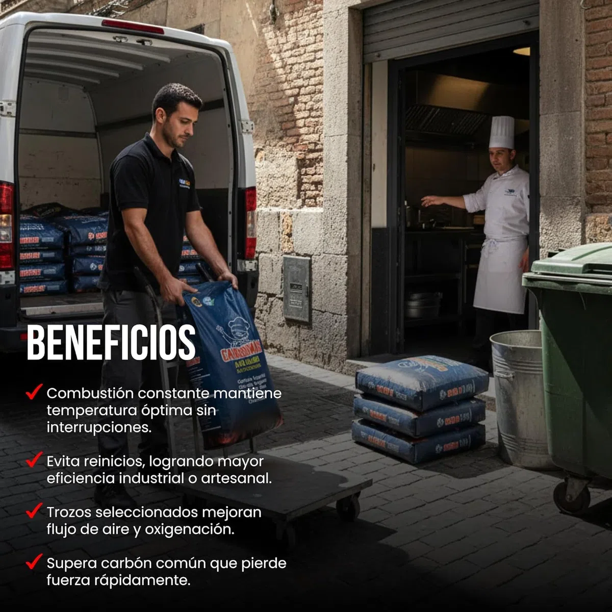 Carbón Vegetal Barbacoa Encina 100 Natural Grueso Saco 20kg Profesional Hostelería Cocina Exterior Brasa Gourmet Alta Temperatura Sin Humo Combustión Lenta Aroma Sabor Carnes (Saco, 1, Unidad)