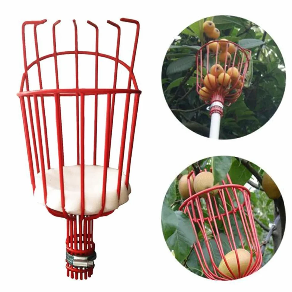 Recogedor de Frutas Telescopico 4.3M, Recoge Frutas Telescopico Acero Inoxidable, Recogedor Fruta Jardin, Recoge Frutas de Manzanas, Herramientas Recolectar de Higos Limón Cerezas Árbole Ø 145mm