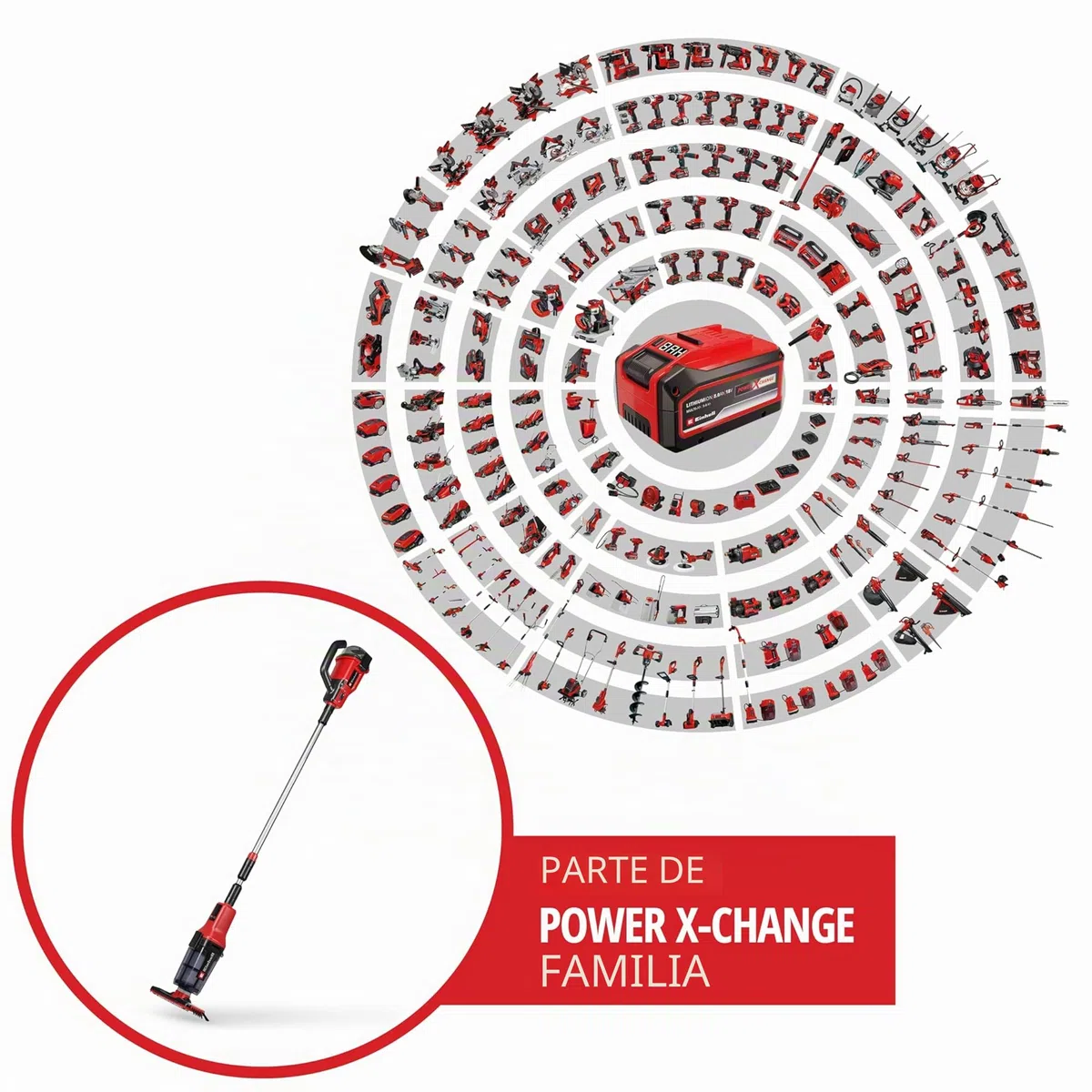 Einhell Aspirador de Piscina con batería GE-PV 18/42 Li T-Solo Power X-Change (18 V, Placa de aspiración de 32 cm, telescópico hasta 220 cm, Filtro, Incl. Accesorio, sin batería)