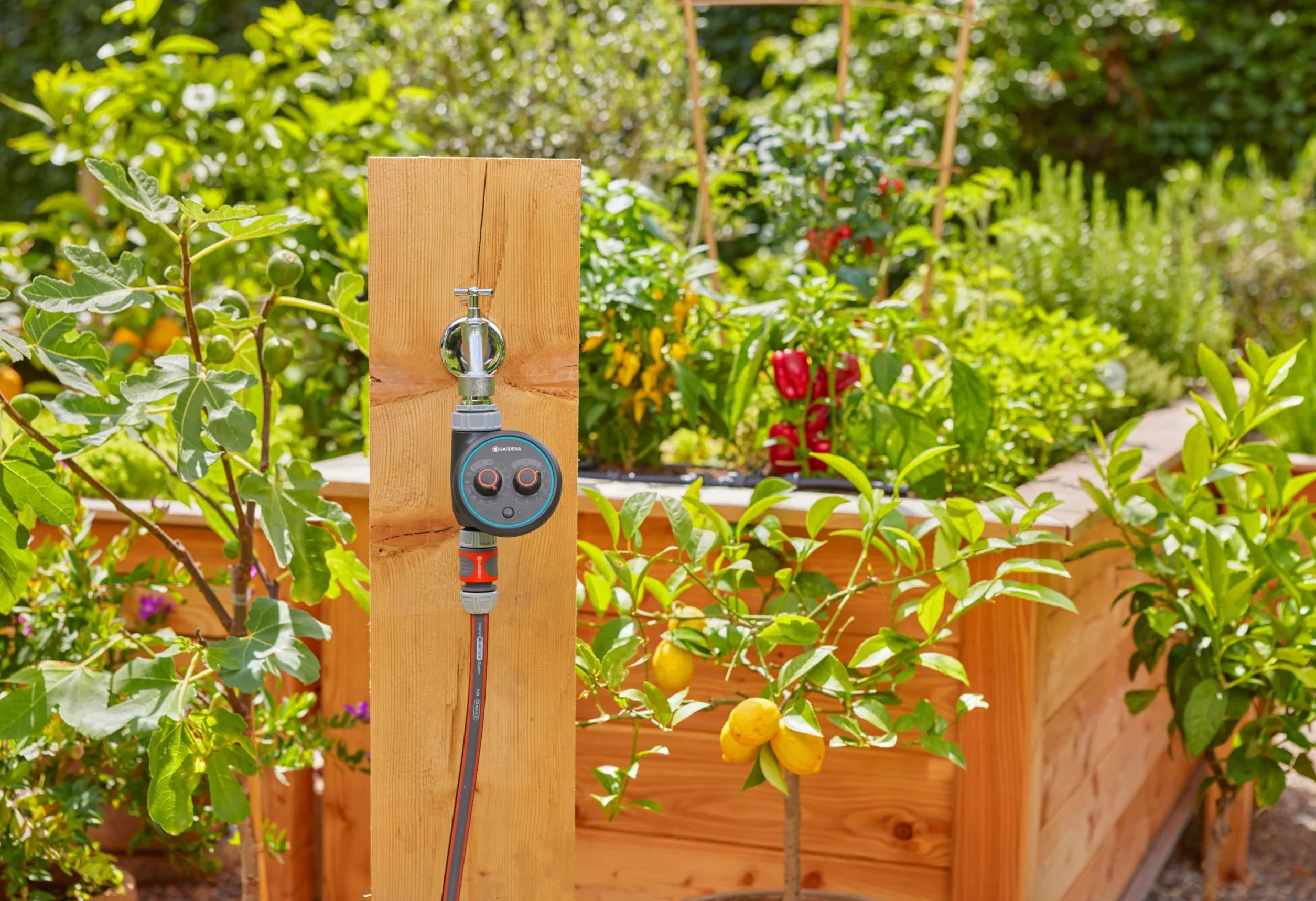 Programador de Riego Gardena Easy Plus 01897-20