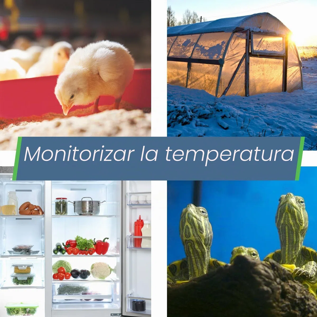 SensorPush HT.w Termómetro higrómetro inalámbrico resistente al agua para iPhone Android Hecho en Estados Unidos Sensor inteligente de humedad temperatura para interiores y exteriores con alertas
