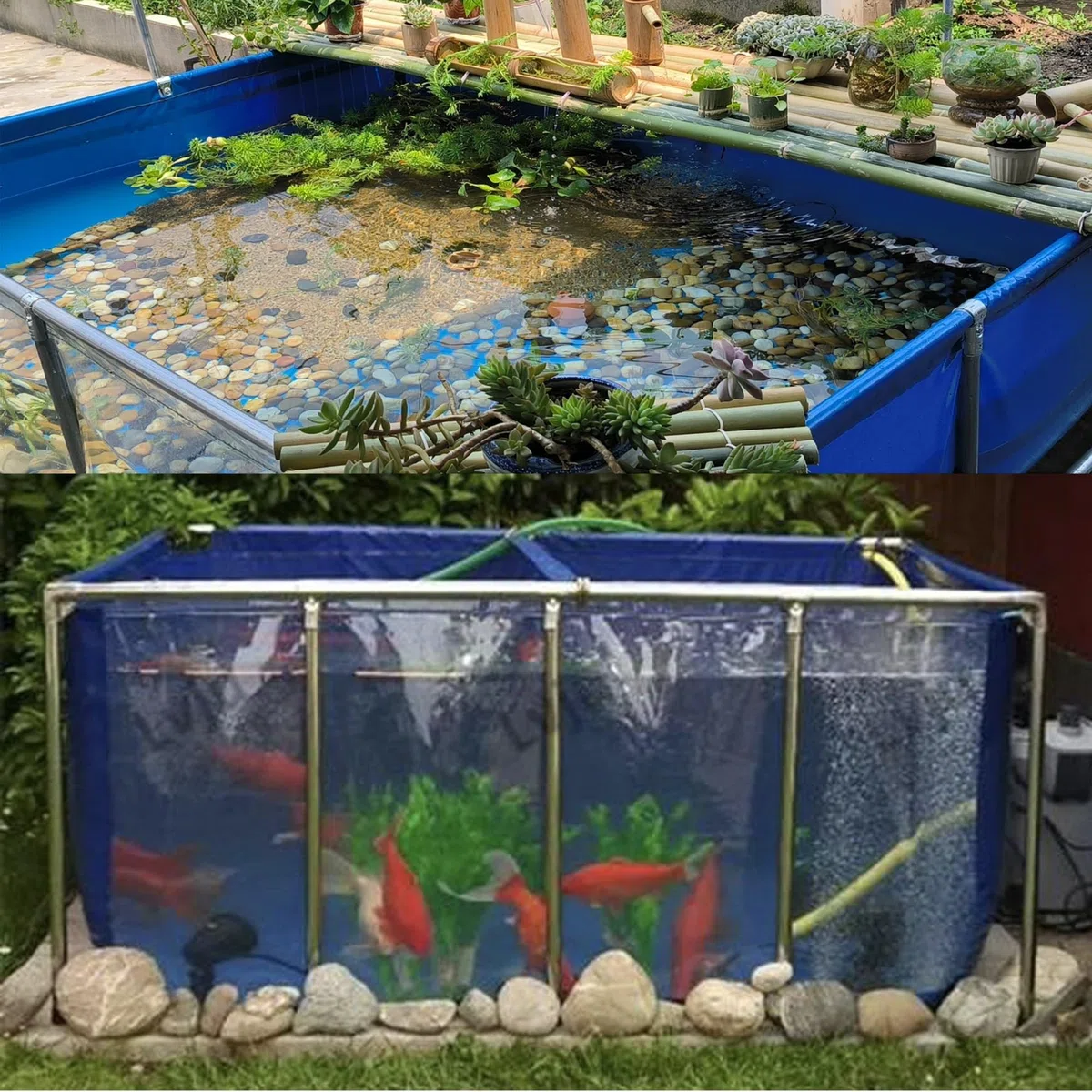 Estanque de peces sobre el suelo, gran piscina de acuicultura de lona transparente para sostener y ver temporalmente, duradera y fácil de instalar para uso en interiores y exteriores