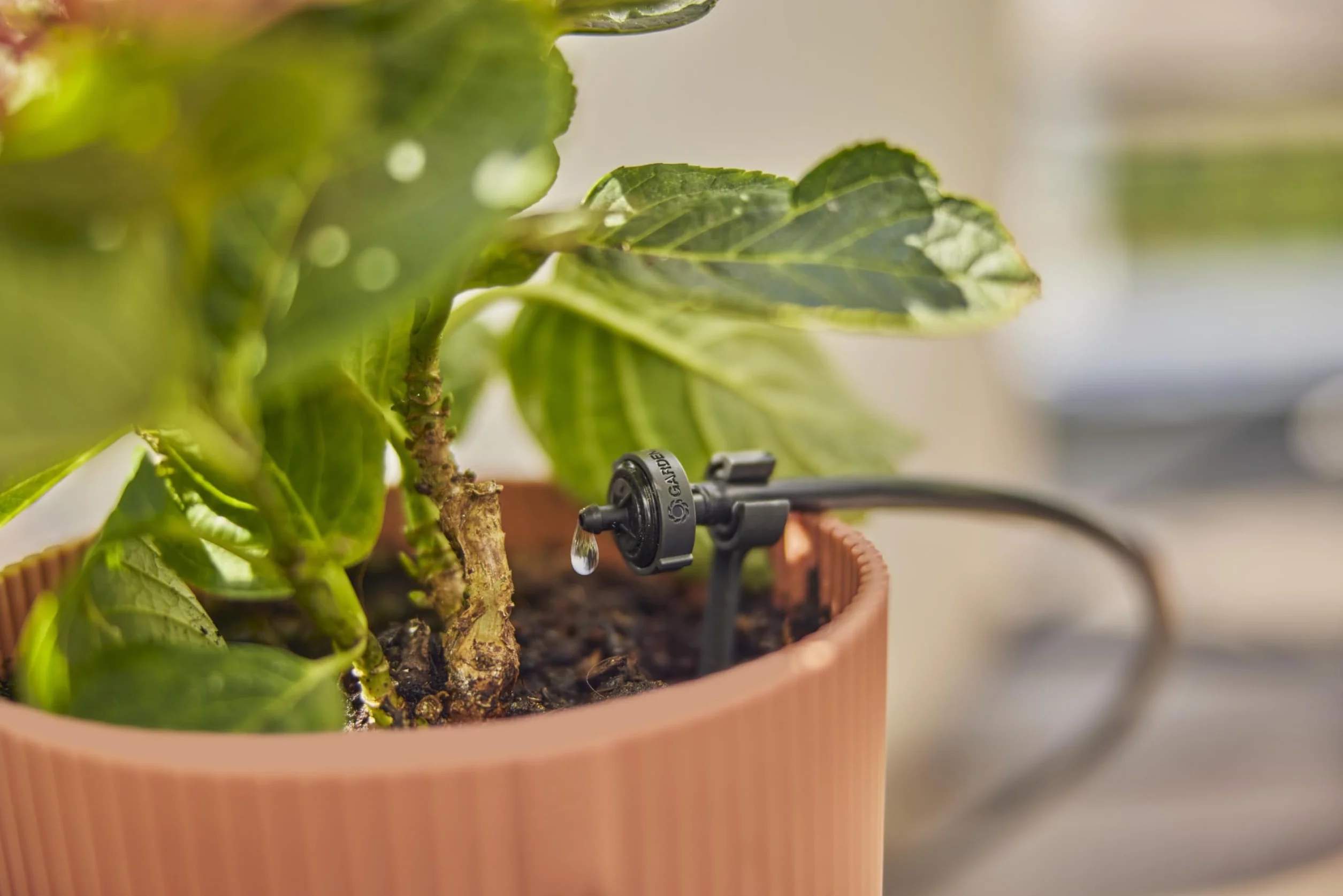 Gardena sistema Micro-Drip set de riego por goteo para balcón (15 plantas): Set de inicio, de instalación inmediata, sistema de riego eficiente, técnica de conexión fácil & flexible (13401-20)