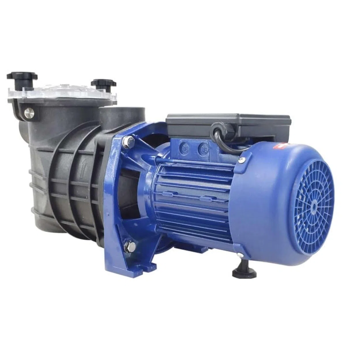 Bravia Bomba de filtración de 0,50 HP Fase única
