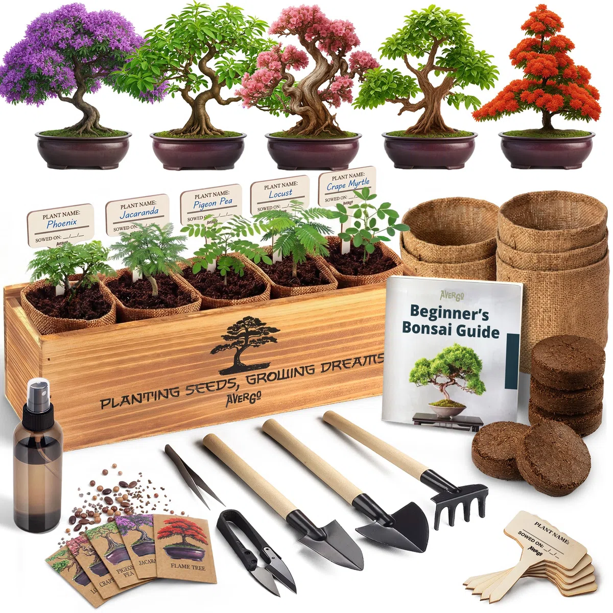 Avergo - Kit de árbol bonsái – 5 árboles de bonzai japoneses únicos | Kit completo de inicio para el cultivo de plantas de bonsái con herramientas y macetas, regalos de jardinería para mujeres y