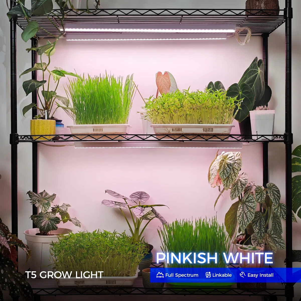 Barrina Grow Lights