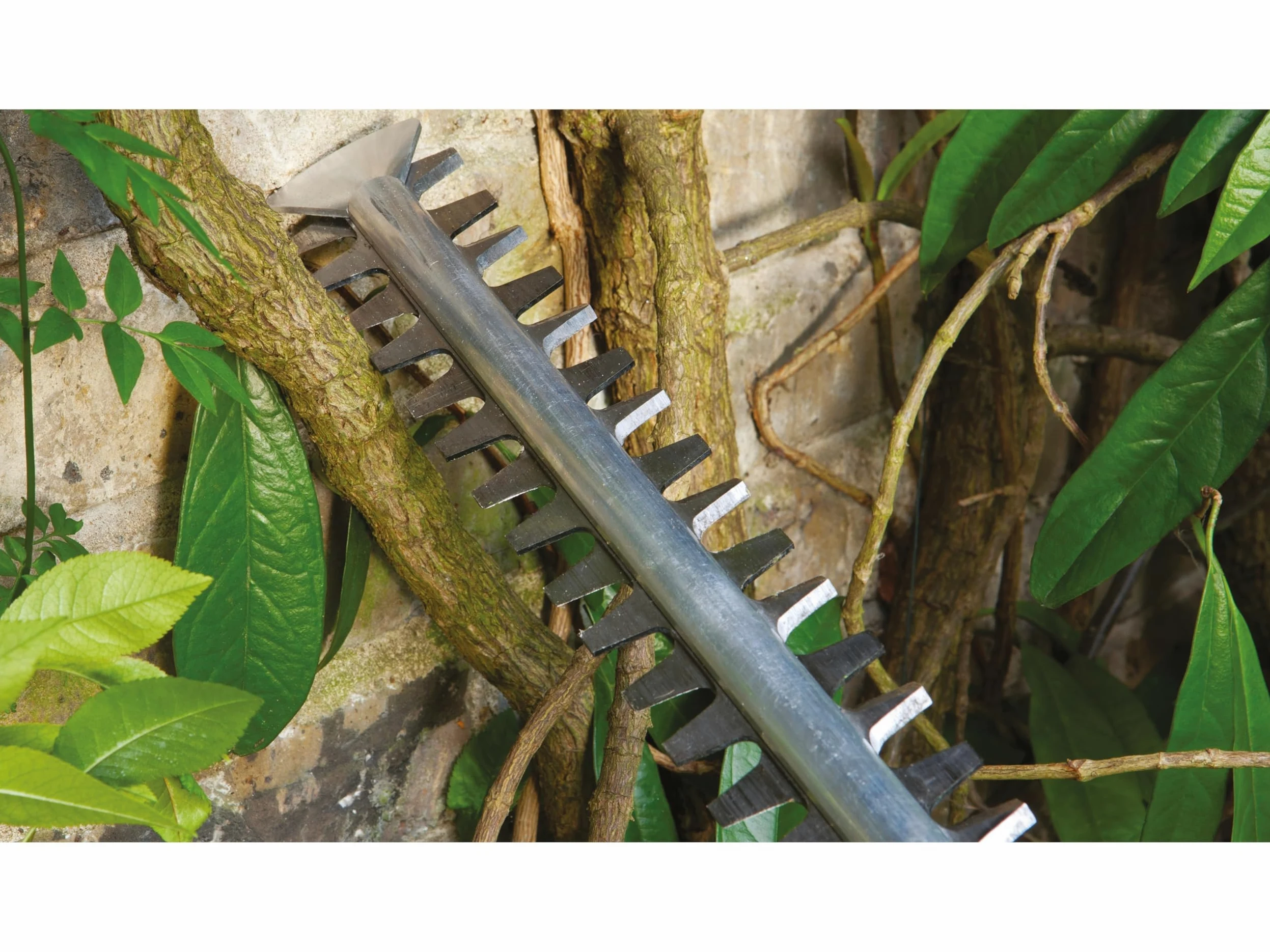 Bosch Tijeras Cortasetos a batería EasyHedgeCut 18-45 (1 batería de 2,0 Ah, Sistema de 18 voltios, Longitud de la Cuchilla de 45 cm, Embalaje en Caja)