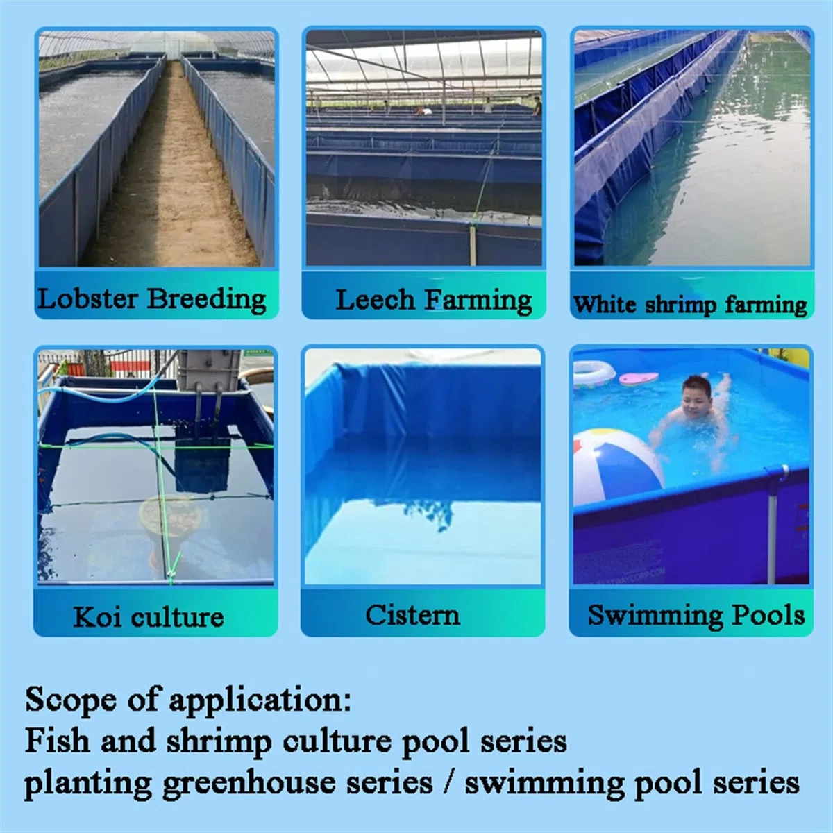Estanque de peces sobre el suelo, gran piscina de acuicultura de lona transparente para sostener y ver temporalmente, duradera y fácil de instalar para uso en interiores y exteriores