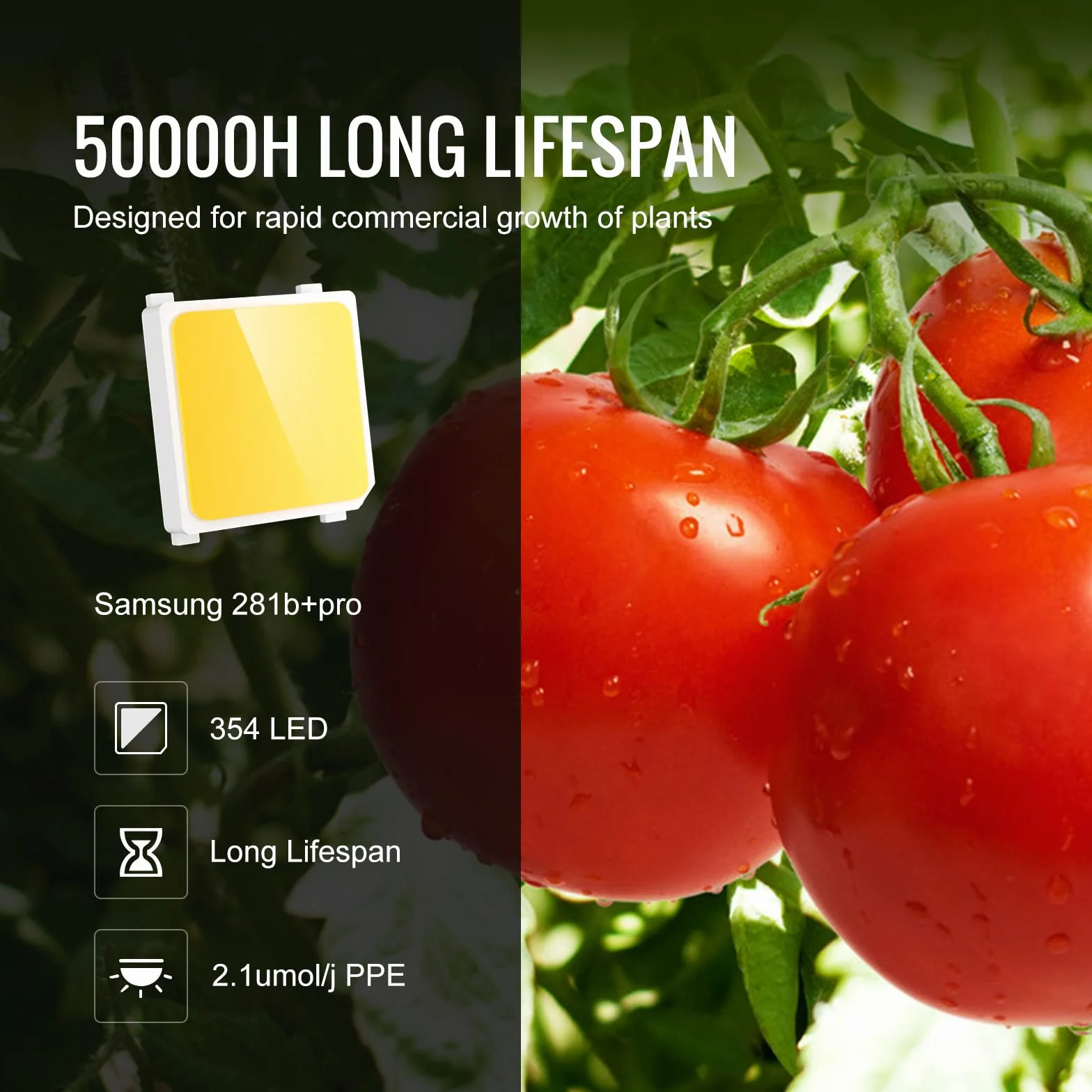 VEVOR Planta de Crecimiento de Lámpara LED 150 W Quantum Panel de Espectro Completo de Alto Rendimiento a Prueba de Agua IP65 PPFD Samsung 281B Diodos para Interior Crecer Carpas Verduras Plantas Flor