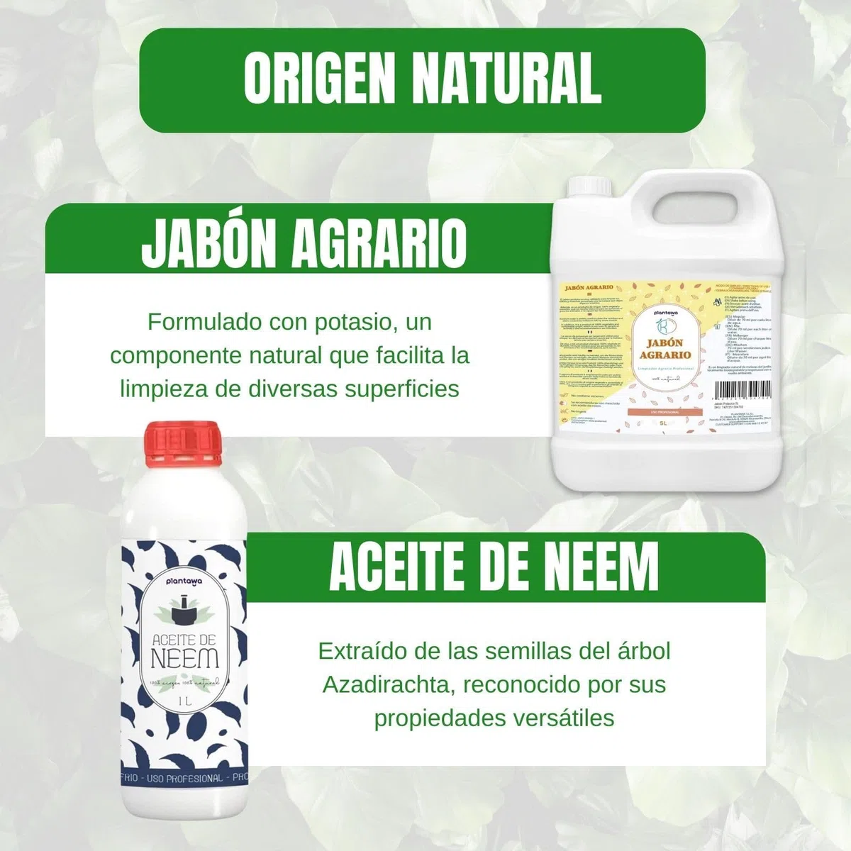 PLANTAWA Pack Ahorro Jabón Potásico 5L + Aceite de Neem 1L | Solución Multiusos | Fácil Aplicación y Máxima Eficacia | Versátil | Uso en Interior y Exterior | Productos de origen natural