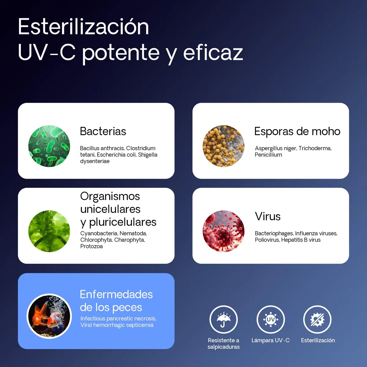 SunSun CUV-172 Clarificador de Agua para estanques 72W, Filtro UV para Agua Clara en estanques