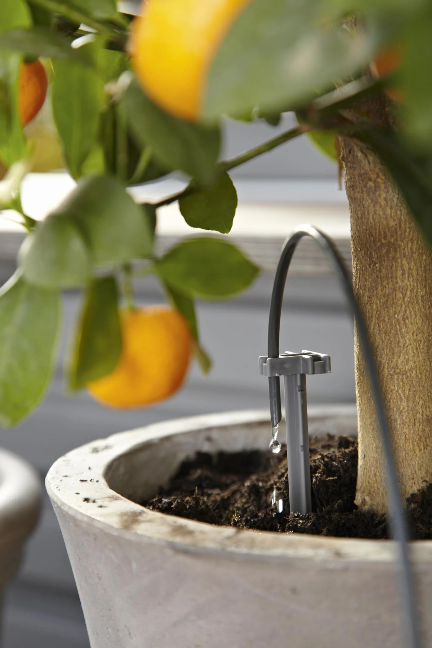 Gardena Riego en vacaciones, City gardening set de riego para un máximo de 36 plantas, Color Negro/Gris/Naranja