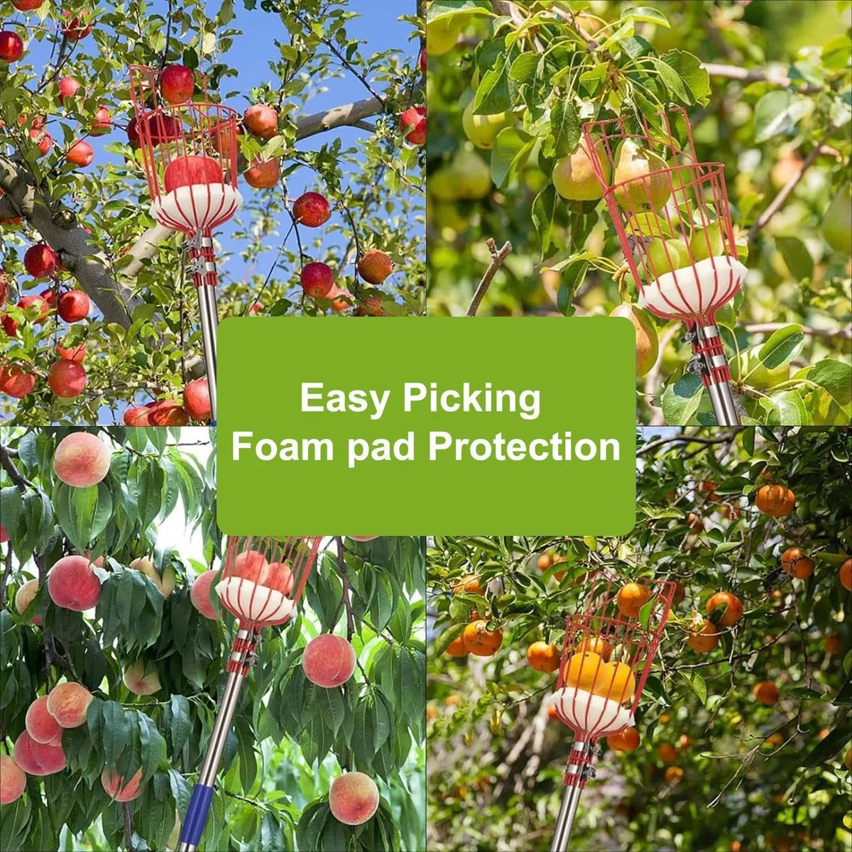 Pértiga Con Cesta Recolector Frutas, Herramienta Portátil De Recolección, Recogedor de aguacates 3,96 m con mango extensible y cesta, Para Huerto Jardín Granja Aguacate Limón Pera Naranja