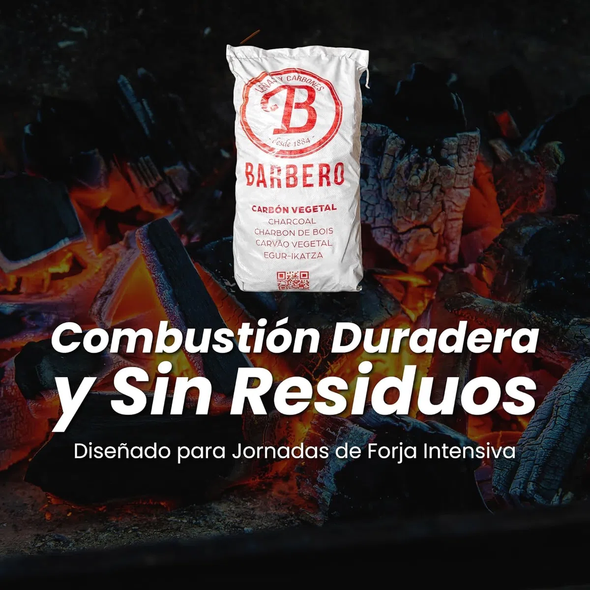 Carbón Vegetal Barbacoa Encina 100 Natural Grueso Saco 20kg Profesional Hostelería Cocina Exterior Brasa Gourmet Alta Temperatura Sin Humo Combustión Lenta Aroma Sabor Carnes (Saco, 1, Unidad)