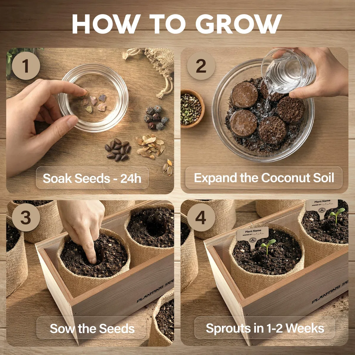 Avergo - Kit de árbol bonsái – 5 árboles de bonzai japoneses únicos | Kit completo de inicio para el cultivo de plantas de bonsái con herramientas y macetas, regalos de jardinería para mujeres y