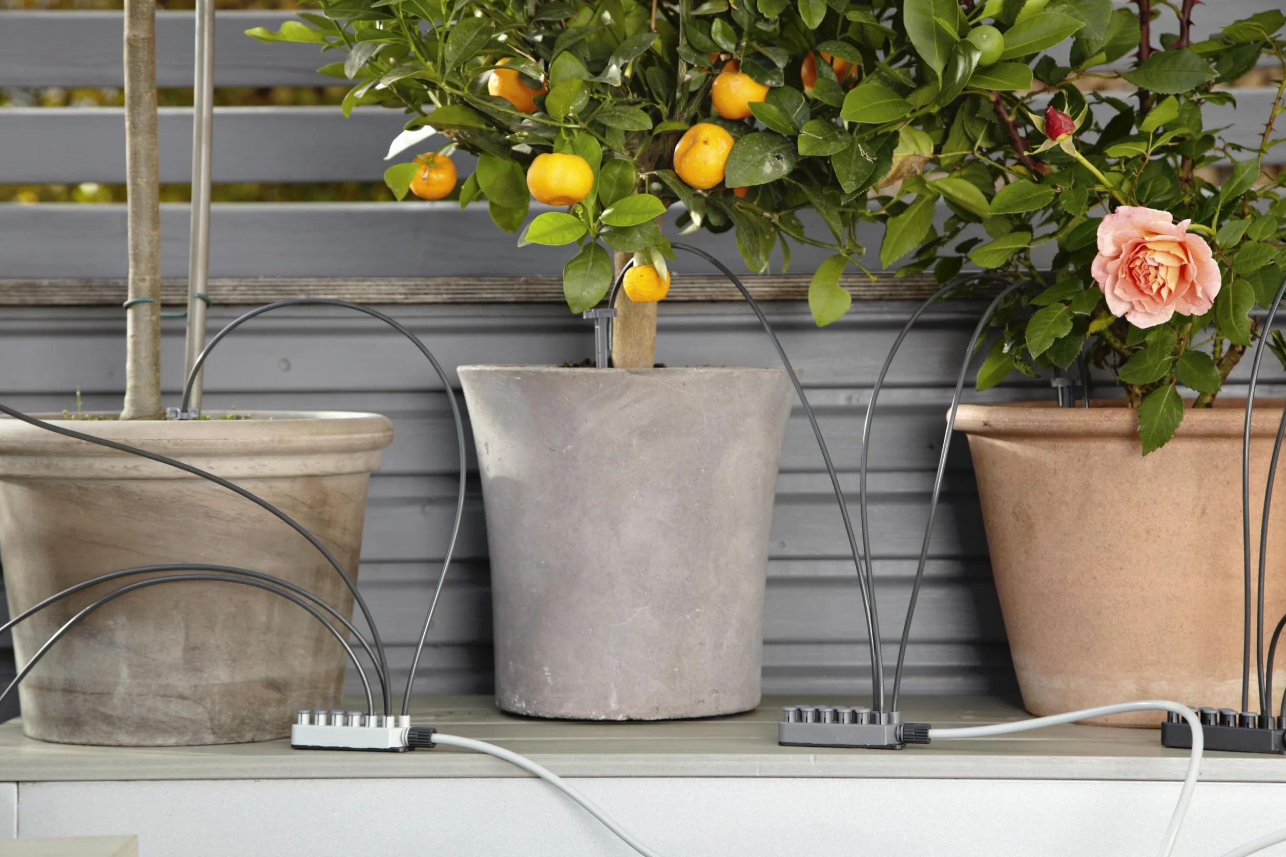 Gardena Riego en vacaciones, City gardening set de riego para un máximo de 36 plantas, Color Negro/Gris/Naranja