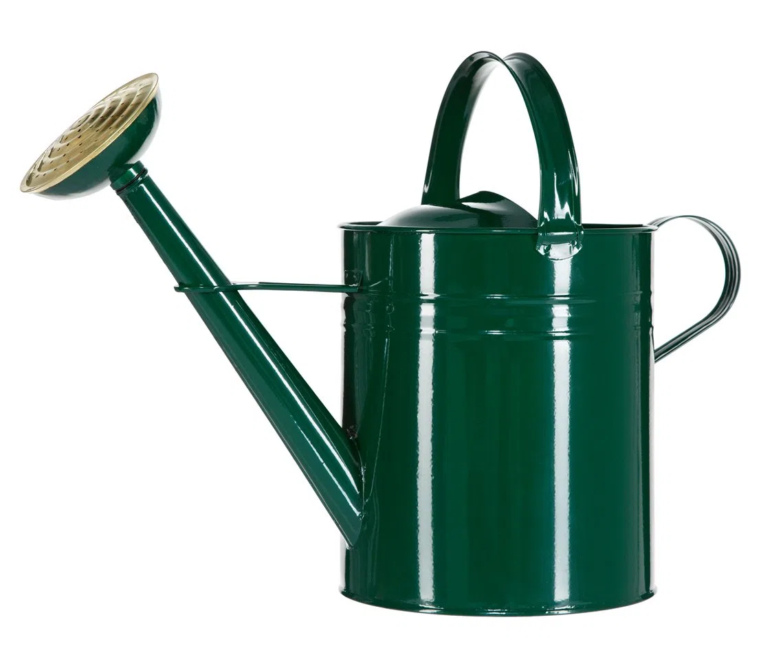 Dehner Regadera en Estilo nostálgico, 9 l, Aprox. 48 x 37 x 21 cm, Zinc, Verde