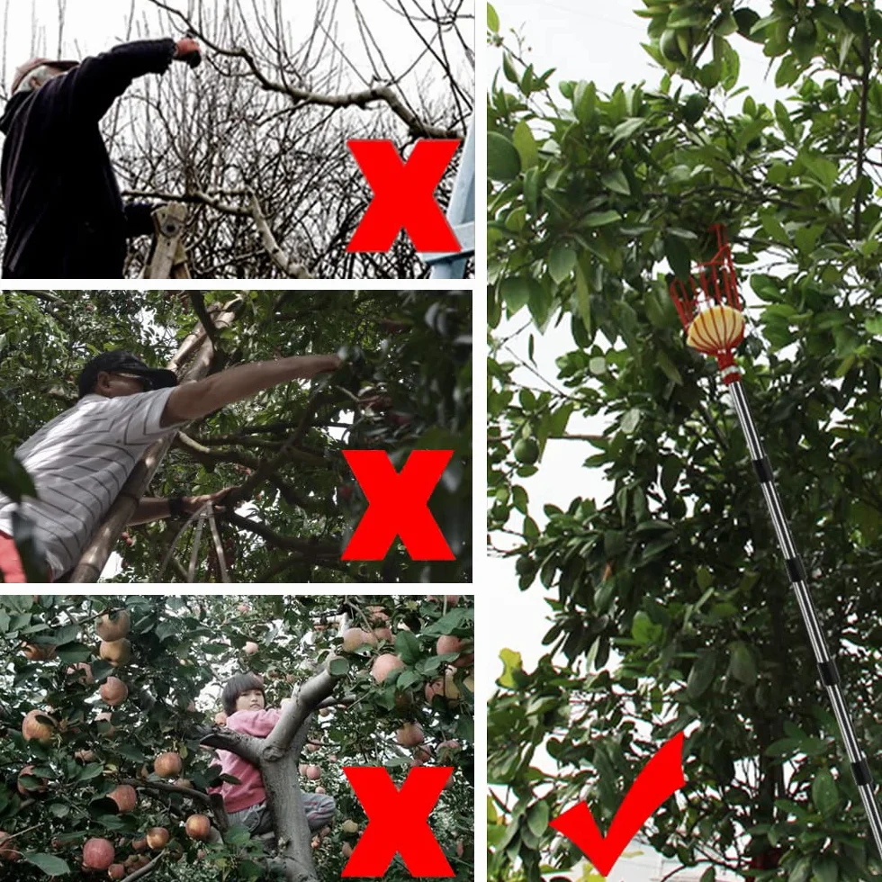 Recogedor de Frutas Telescopico 4.3M, Recoge Frutas Telescopico Acero Inoxidable, Recogedor Fruta Jardin, Recoge Frutas de Manzanas, Herramientas Recolectar de Higos Limón Cerezas Árbole Ø 145mm