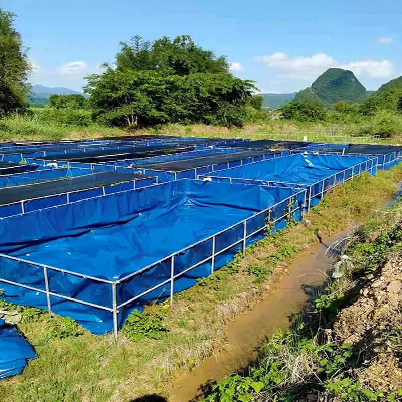 Estanque Grande para Piscina de Acuario, Estanque de lona de PVC, tanque de almacenamiento de agua plegable, piscina de acuicultura con estructura, estanque de peces al aire libre para la cría de koi