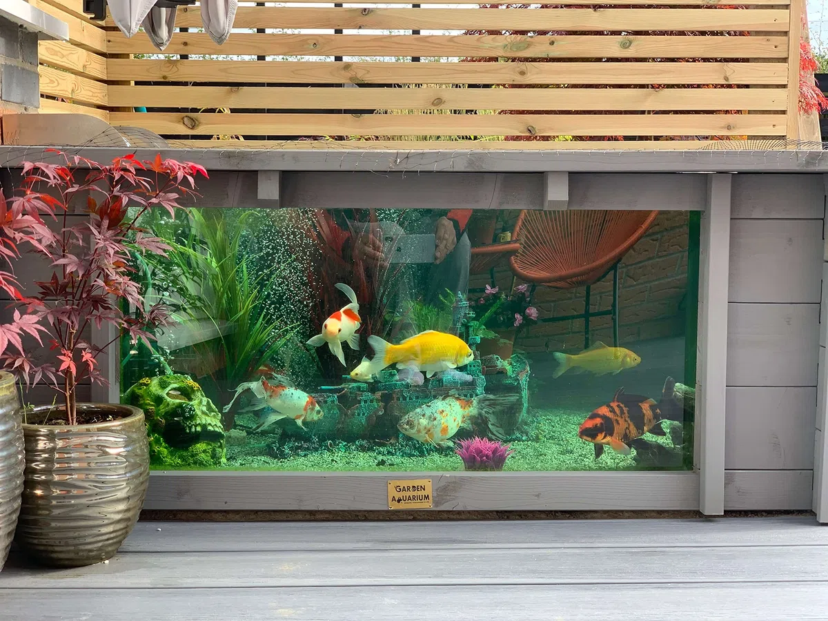 Lotus Clear View Garden Aquarium - Estanque de jardín cuadrado elevado con ventanas (verde hierba marina)