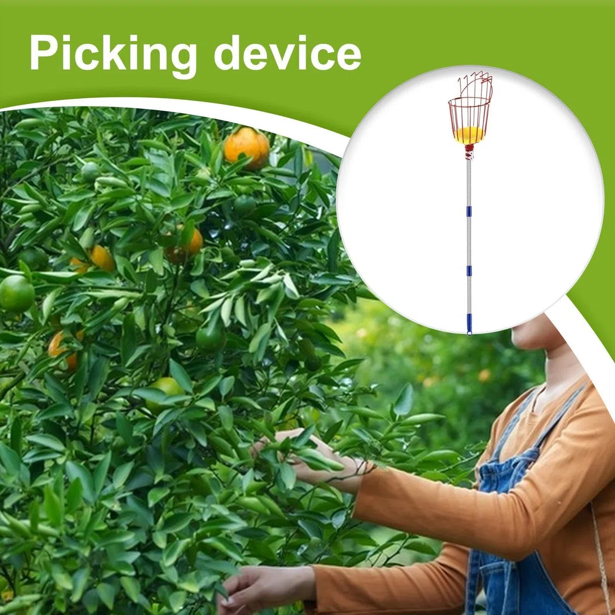 Pértiga Con Cesta Recolector Frutas, Herramienta Portátil De Recolección, Recogedor de aguacates 3,96 m con mango extensible y cesta, Para Huerto Jardín Granja Aguacate Limón Pera Naranja