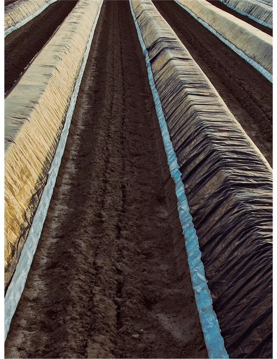 Jardin202 - Plástico para Agricultura y Obra- Negro - 600 Galgas | 600 Galgas - 6 x 50 m (300 m²) () | 600 Galgas - 6 x 50 m (300 m²)