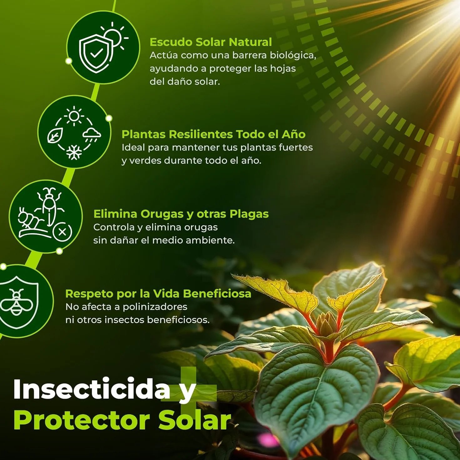 TRABE Pack 5 Bacillus Thuringiensis 40g | Protección contra Orugas Ecológico | Protege Todo Tipo de Cultivos y Plantas de Plagas | Respeta Animales, Medio Ambiente y Personas