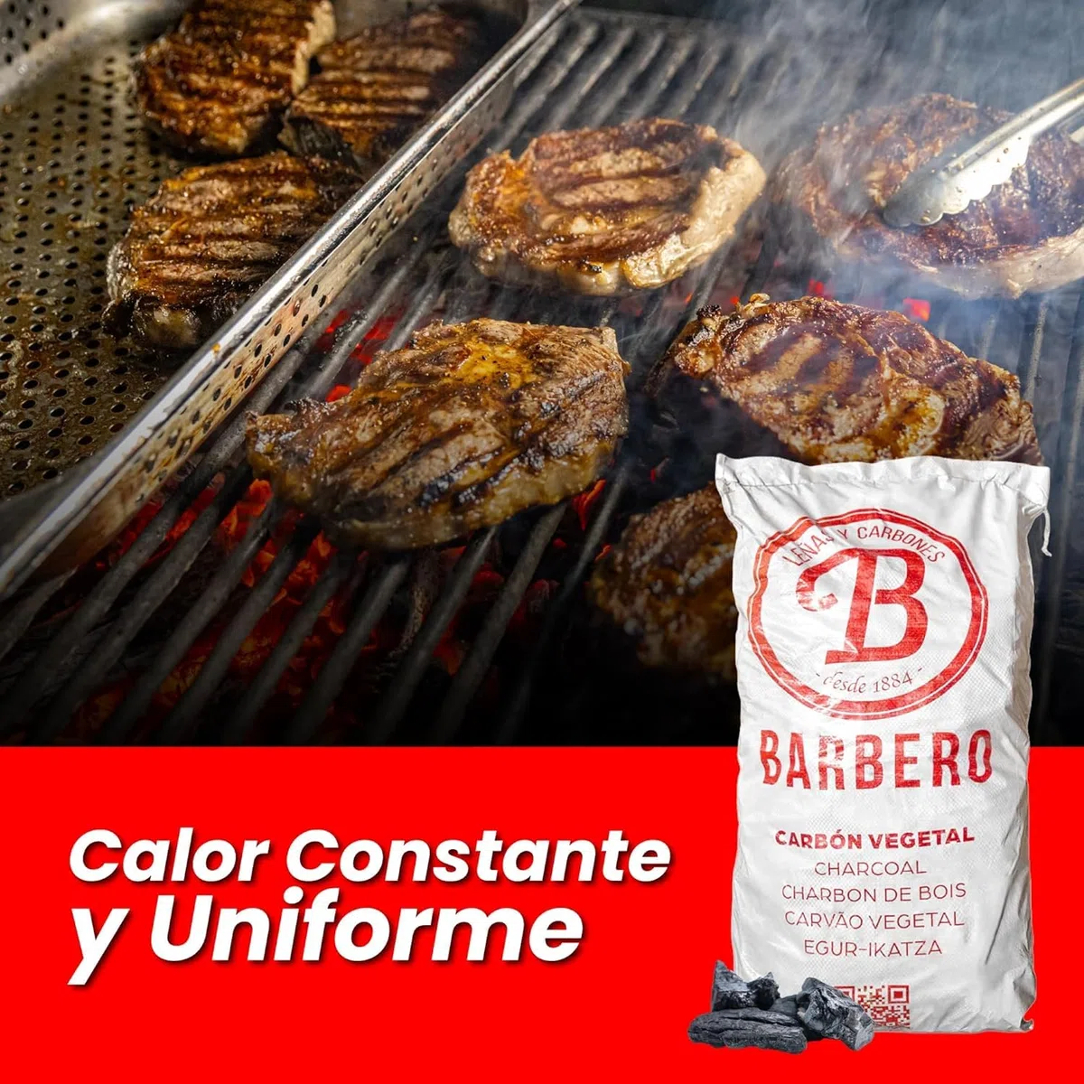 Carbón Vegetal Barbacoa Encina 100 Natural Grueso Saco 20kg Profesional Hostelería Cocina Exterior Brasa Gourmet Alta Temperatura Sin Humo Combustión Lenta Aroma Sabor Carnes (Saco, 1, Unidad)