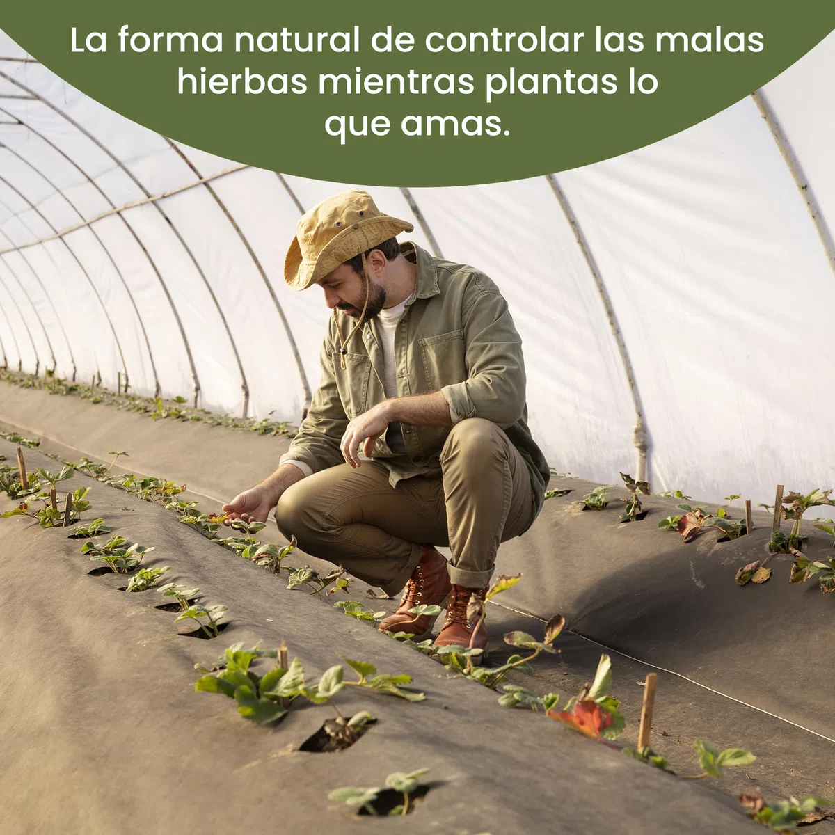 GARDENIX 100 m² de Fieltro para Malas Hierbas con 100 Anclajes de Tierra 1 m x 100 m – Permeable al Agua 100 g/m² – Negro Resistente a los Rayos UV lámina de vellón para jardinería