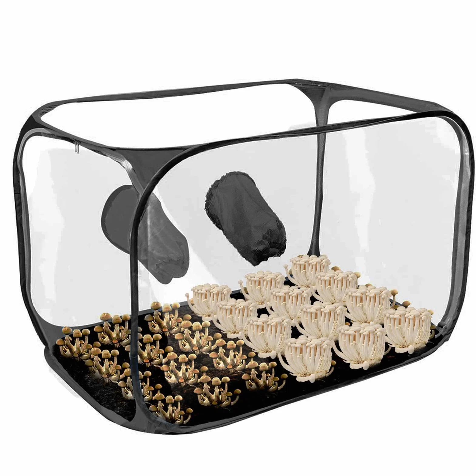 Still Air Box - Caja de aire plegable para cultivo de | Kit de tienda de campaña de cultivo de | Estaciones de propagación de campana de humo de micología de | Contenedor