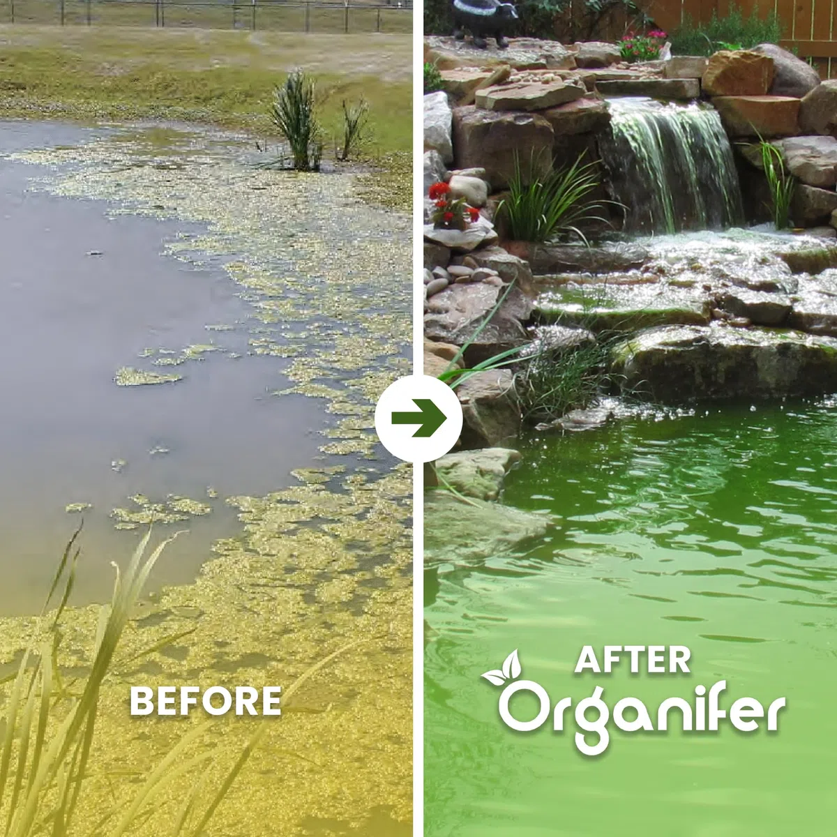 Bolas De Nutrientes Para Plantas De Estanque - Fertilizante A Largo Plazo Para Plantas De Estanque - Paquete De 20 - Garantiza Un Crecimiento Saludable Y Claridad Del Agua - Organifer
