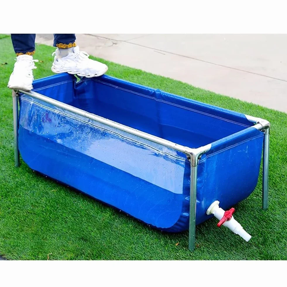 Acuario interior independiente para Koi/pez dorado, Estanque de piscina en el patio trasero con Panel transparente, Revestimientos de lona de PVC con marco de acero ( Color : Azul , Tamaño : 120x80x61