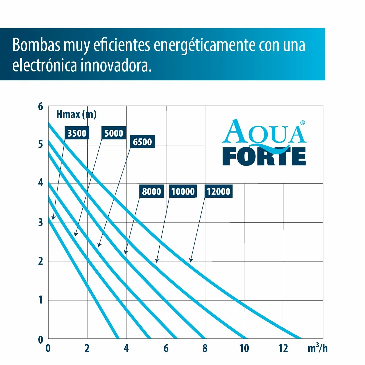 AquaForte Bomba de estanque AquaForte DM 3500 de bajo voltaje 12 voltios 30 vatios, caudal 3m3 por hora, altura 3 m, protección automática contra funcionamiento en seco, longitud del cable 10 m