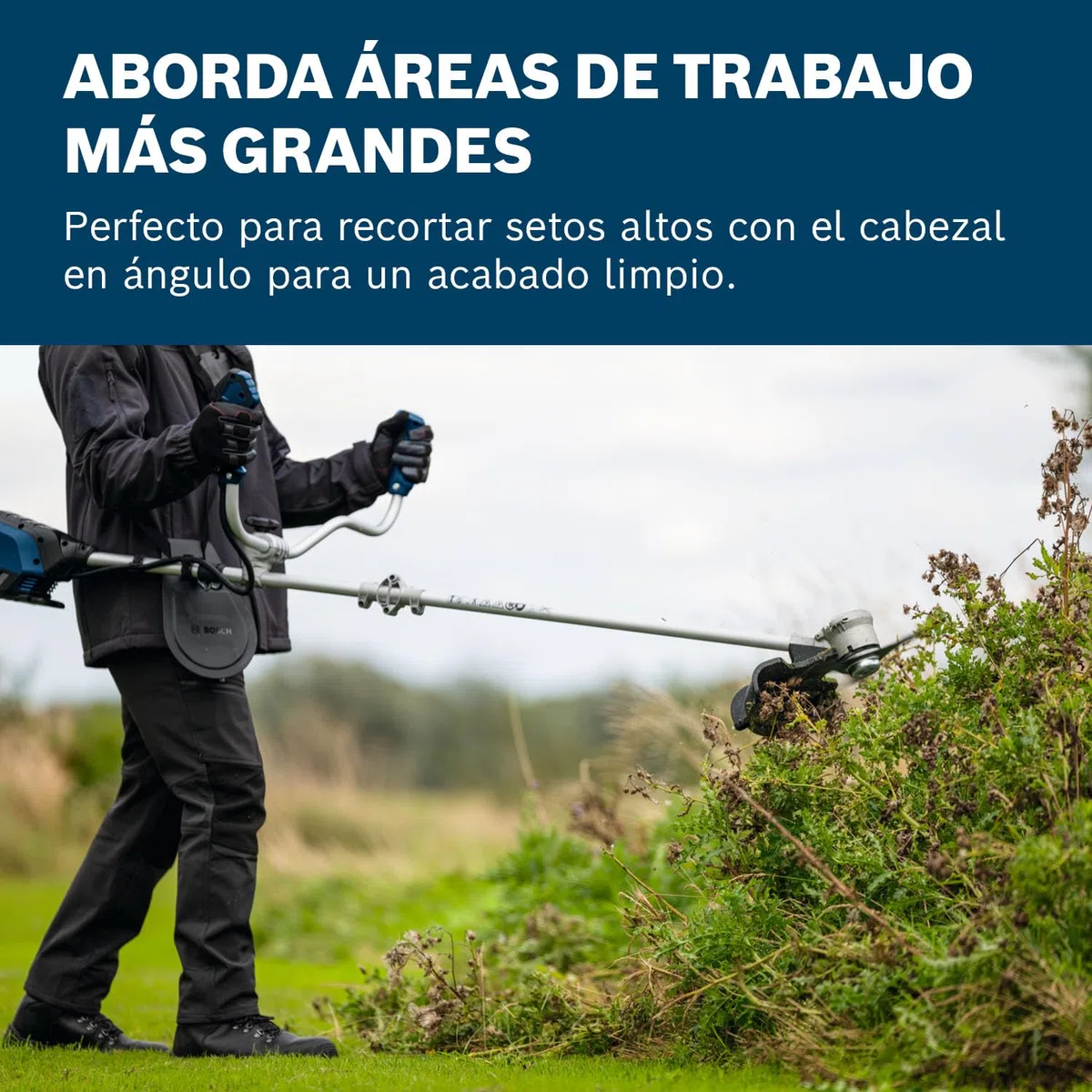 Bosch Pro desbrozadora a batería GFR18V-25 BH (motor Brushless sin escobillas de 600 W, corte de cuchillas: 25 cm, corte de línea: 40 cm, sin batería)