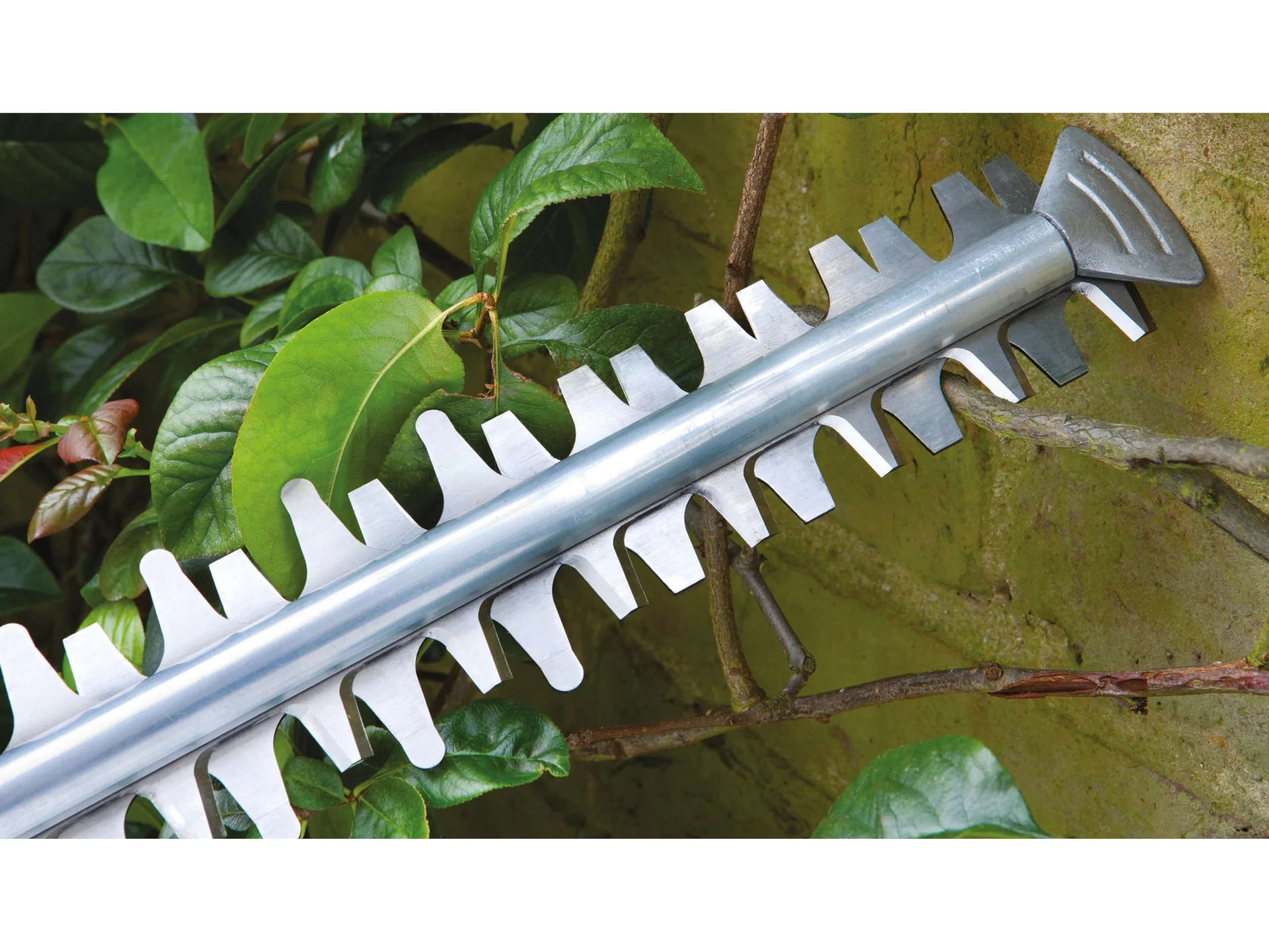 Bosch Tijeras Cortasetos a batería EasyHedgeCut 18-45 (1 batería de 2,0 Ah, Sistema de 18 voltios, Longitud de la Cuchilla de 45 cm, Embalaje en Caja)