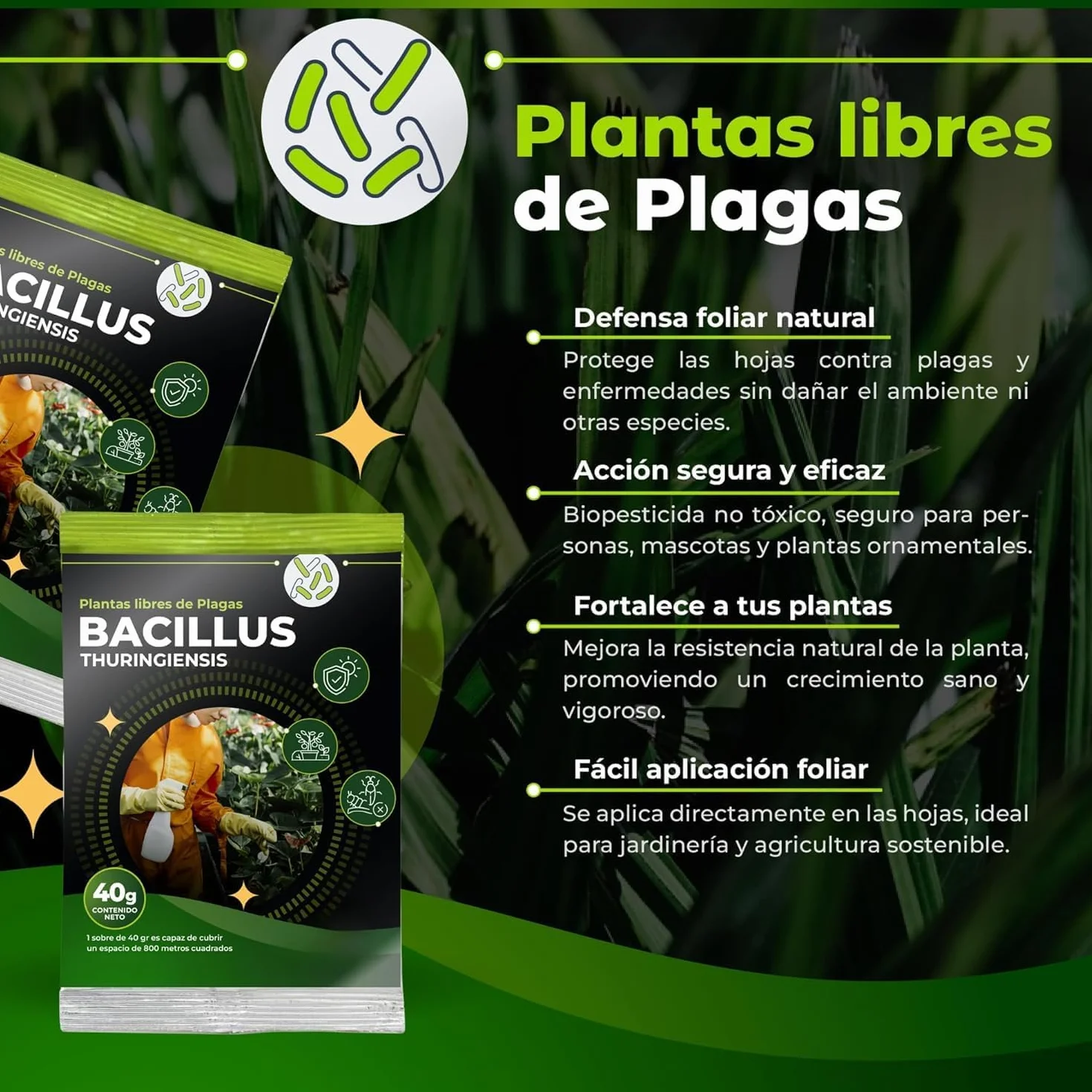 TRABE Pack 5 Bacillus Thuringiensis 40g | Protección contra Orugas Ecológico | Protege Todo Tipo de Cultivos y Plantas de Plagas | Respeta Animales, Medio Ambiente y Personas