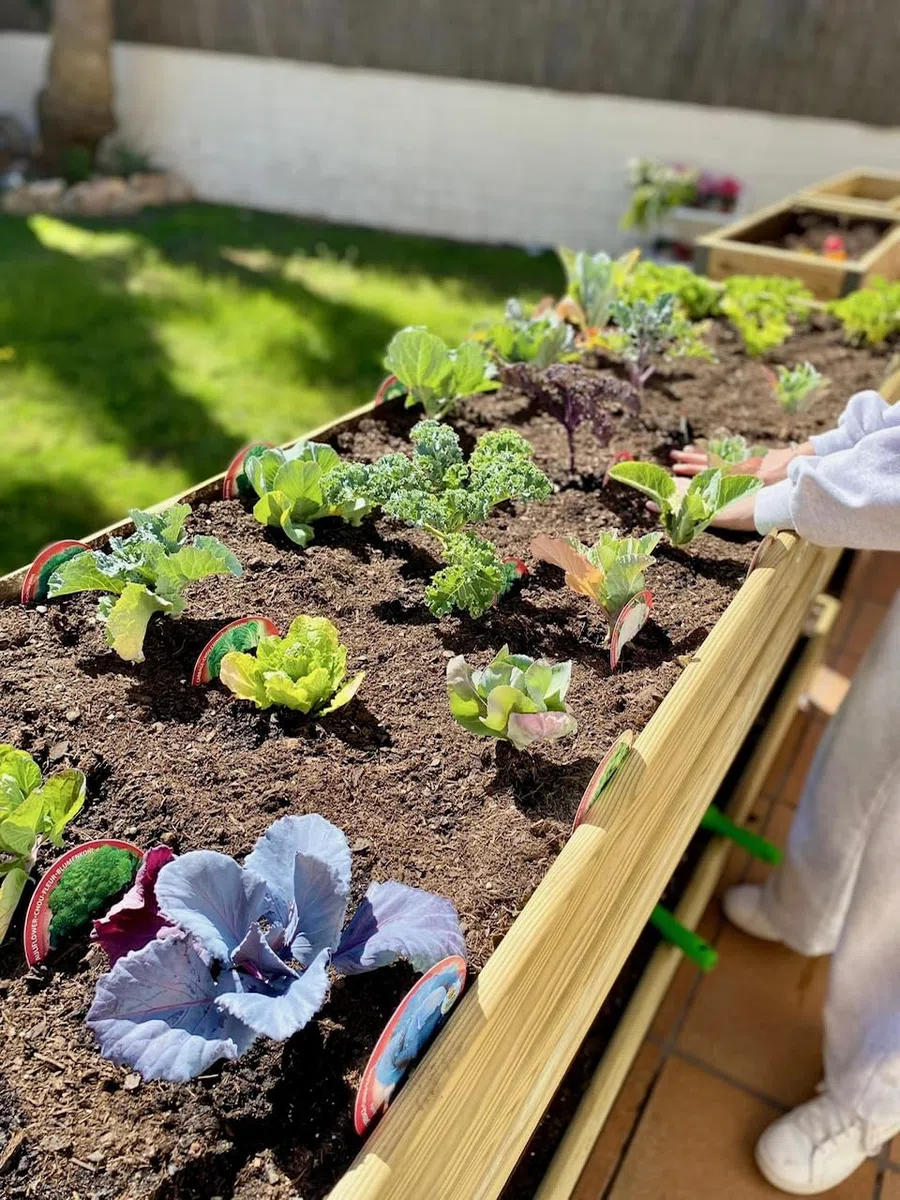 Jardinera Arriate Madera con Bandeja Recoge Aguas | Estructura Metálica | Mesa Cultivar Plantas Terraza Jardín Balcón Exterior | Verde | HUERTO BAJO - 90x60x38 cm