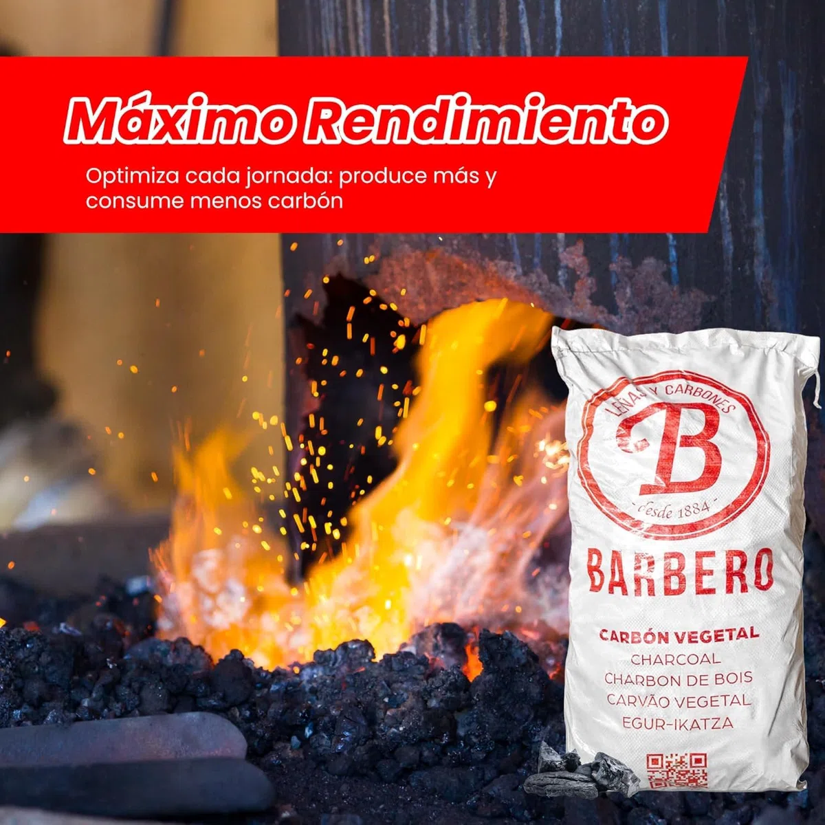 Carbón Vegetal Barbacoa Encina 100 Natural Grueso Saco 20kg Profesional Hostelería Cocina Exterior Brasa Gourmet Alta Temperatura Sin Humo Combustión Lenta Aroma Sabor Carnes (Saco, 1, Unidad)