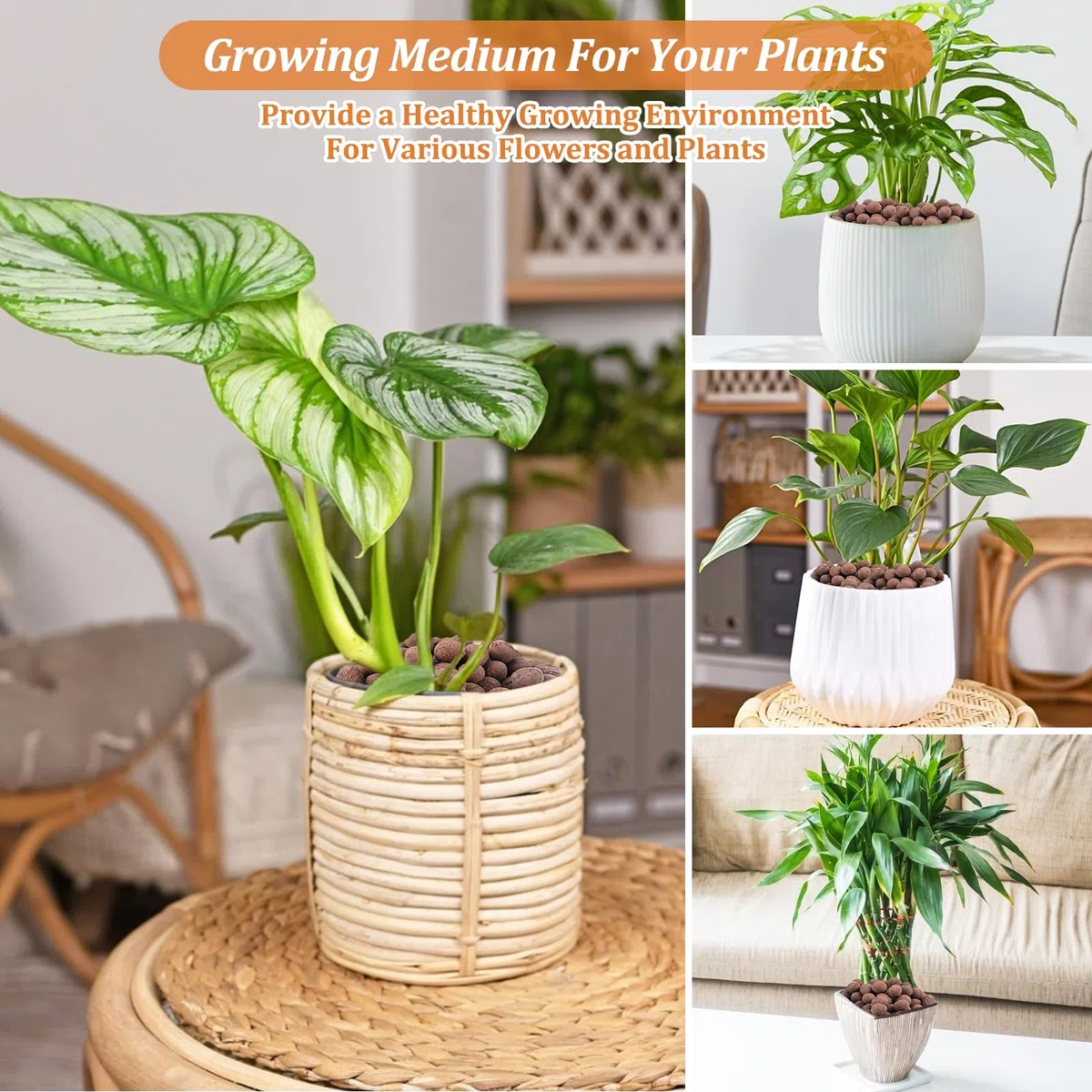 Riare Guijarros de arcilla leca orgánica de 10 libras para plantas, bolas de arcilla natural de Leca de 4 mm a 16 mm, guijarros de arcilla hidropónica ligeros para plantas de interior, cultivo