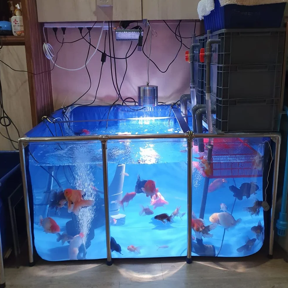 Acuario interior independiente para Koi/pez dorado, Estanque de piscina en el patio trasero con Panel transparente, Revestimientos de lona de PVC con marco de acero ( Color : Azul , Tamaño : 120x80x61