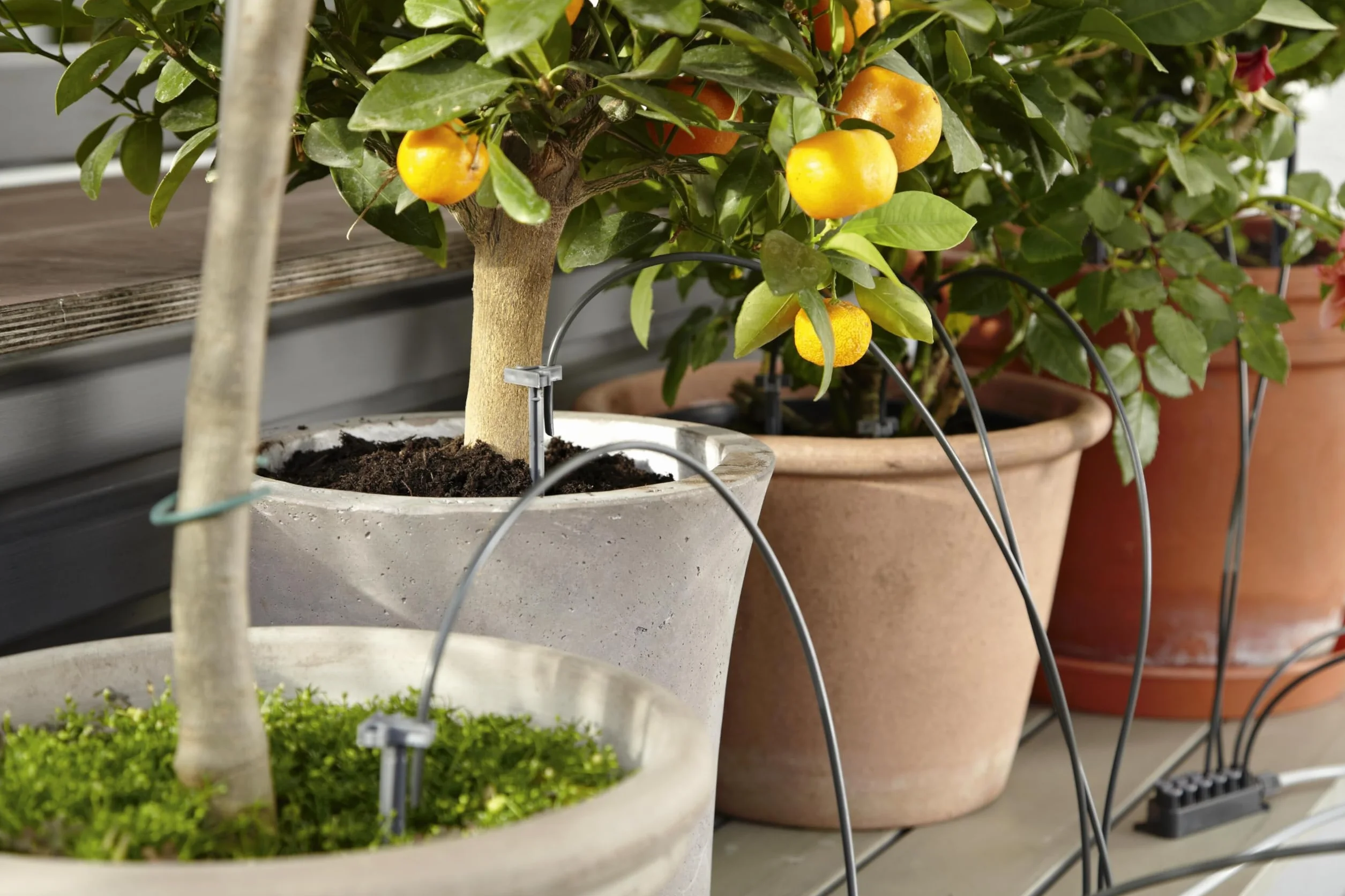 Gardena Riego en vacaciones, City gardening set de riego para un máximo de 36 plantas, Color Negro/Gris/Naranja