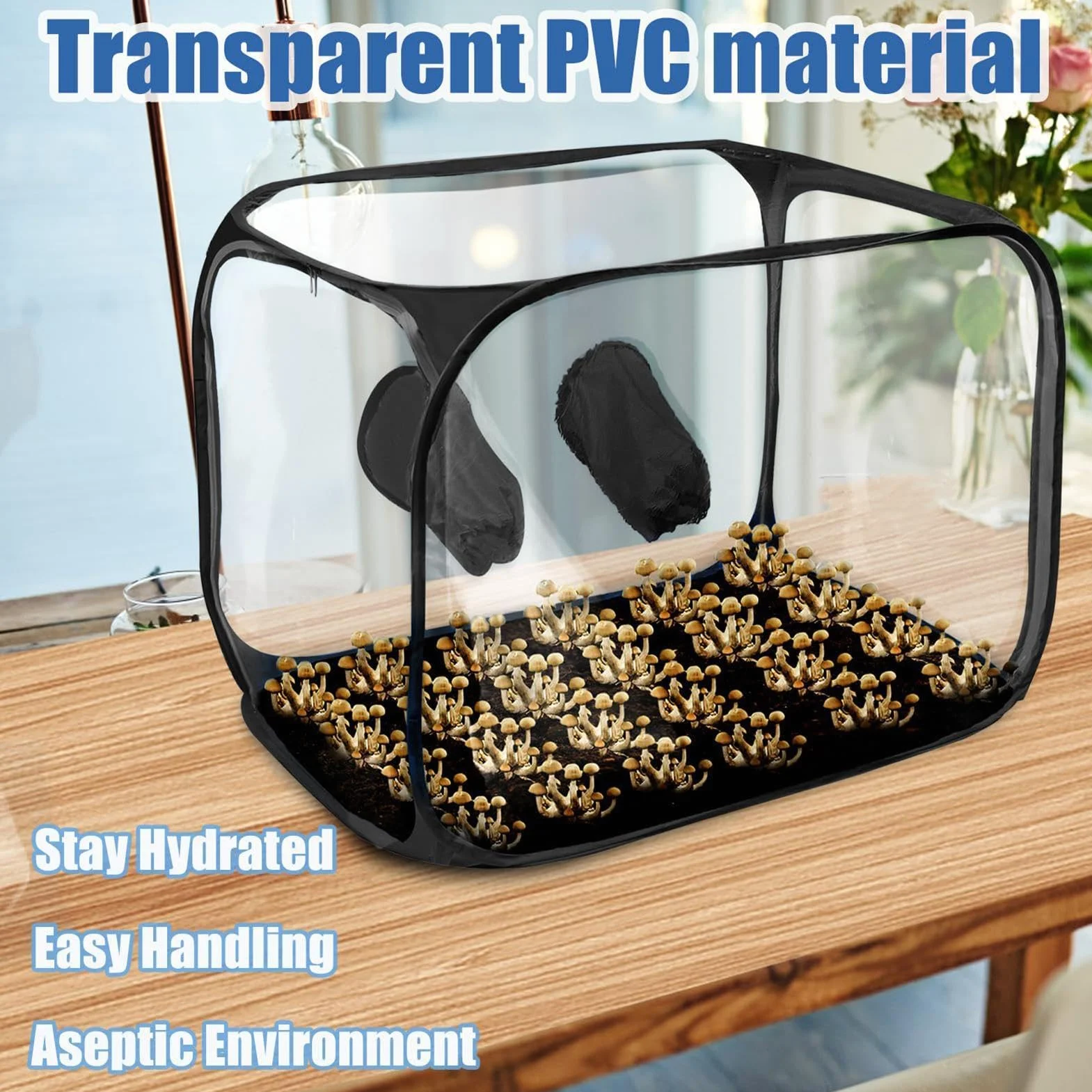 Still Air Box - Caja de aire plegable para cultivo de | Kit de tienda de campaña de cultivo de | Estaciones de propagación de campana de humo de micología de | Contenedor