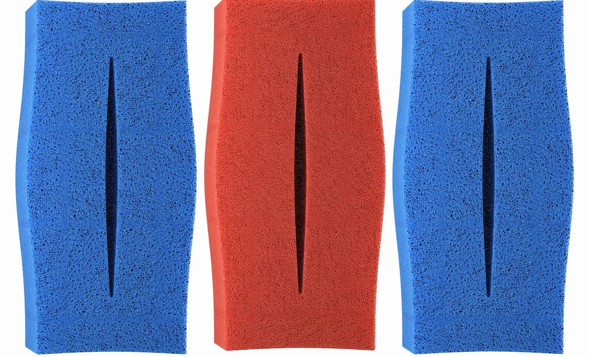 3 x filtros de Esponja de Repuesto para Oase Biotec 5 (2 x 10 ppi + 1 x Fino 30 ppi) | Set 2 x Azul 1 x Rojo