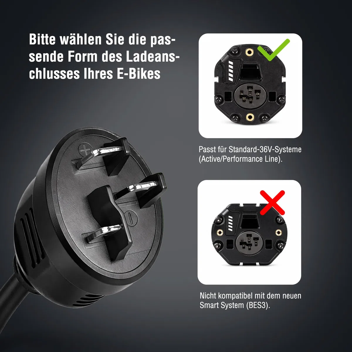 LEICKE Cargador Rápido de 6A para Bosch 36V/42V E-Bike – Compatible con Active Line, Active Line Plus, Cargo Line, Classic+ Line, Performance Line, Line CX, Line Speed